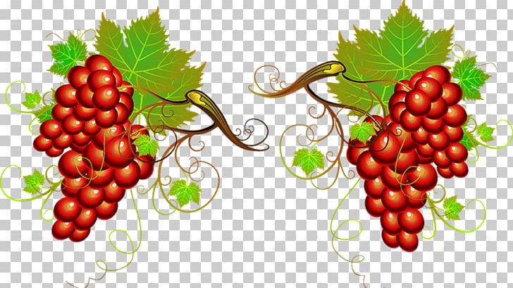 Wine Grape PNG, Clipart, Barrel, Berry, Food, Fruit, Fruit Nut Free PNG Download