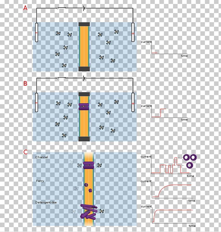 Lipid Bilayer Synthetic Ion Channels Gramicidin Ether PNG, Clipart, Angle, Area, Asparagine, Bilayer, Chemical Compound Free PNG Download