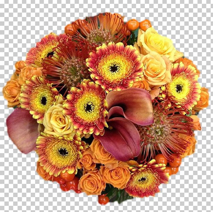 Transvaal Daisy Cut Flowers Floral Design PNG, Clipart, Blue, Bunch Of Flowers, Cari, Chrysanthemum, Chrysanths Free PNG Download