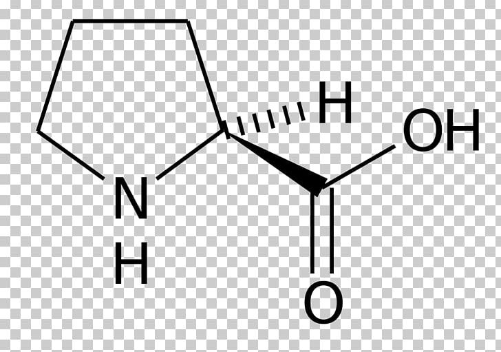Amino Acid Proline Kainic Acid Cysteine PNG, Clipart, Acid, Amine, Amino Acid, Angle, Area Free PNG Download