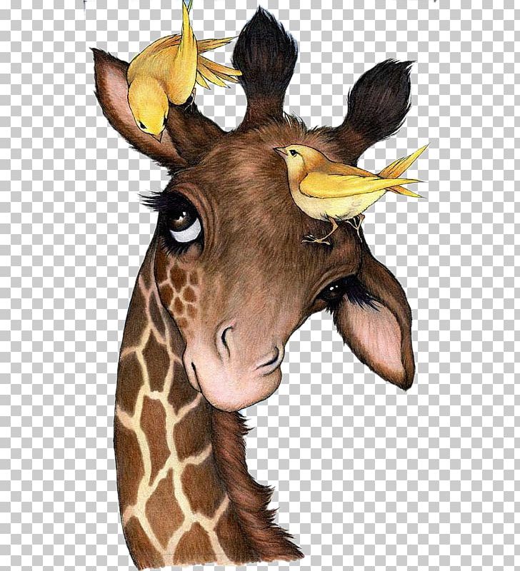 Northern Giraffe Painting Drawing Animal Canvas PNG, Clipart, Animals, Art, Bird Cage, Birds, Cartoon Free PNG Download