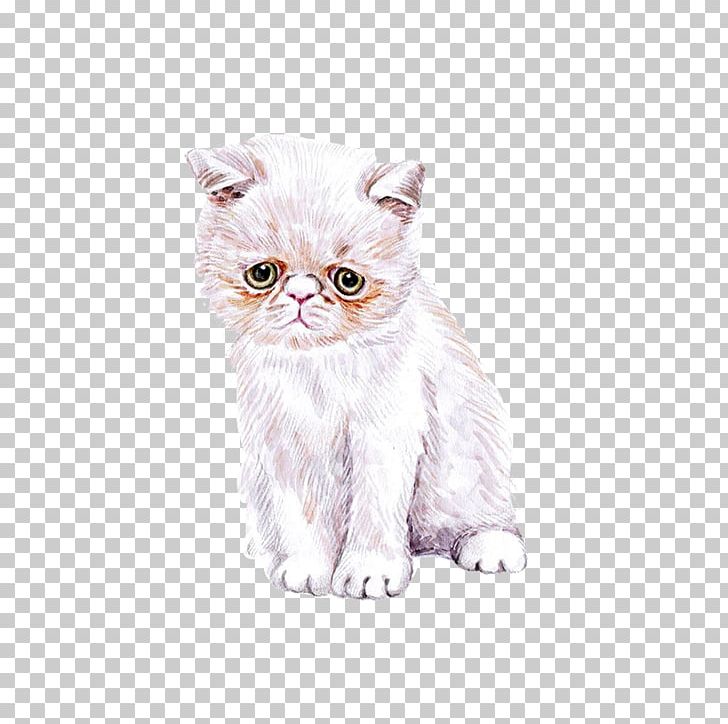 Cat Kitten Watercolor Painting Cuteness PNG, Clipart, Animals, Carnivoran, Cat Like Mammal, Domestic Short Haired Cat, Drawing Free PNG Download