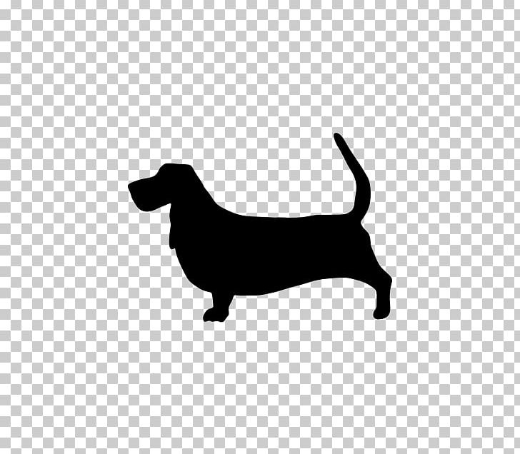 Dachshund Puppy Whippet Dog Breed Saluki PNG, Clipart, Black, Black And White, Bluetick Coonhound, Breed, Carnivoran Free PNG Download