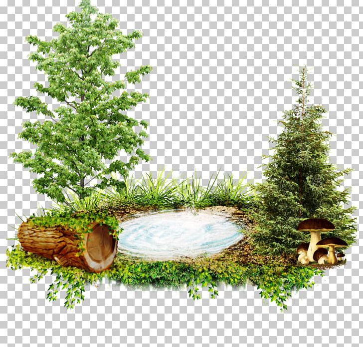Alice Яндекс.Фотки Yandex Fir PNG, Clipart, Alice, Architecture, Art, Author, Birthday Free PNG Download