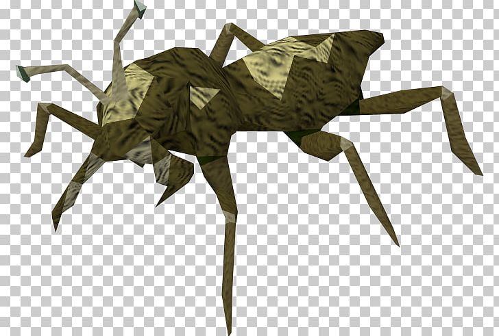 Beetle RuneScape Bed Bug Wikia Cave PNG, Clipart, Animal, Animals, Arthropod, Bed Bug, Beetle Free PNG Download
