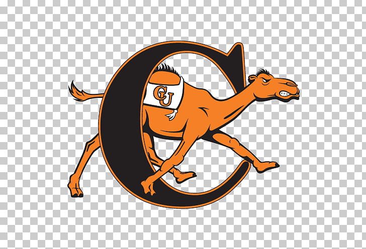 Campbell University Campbell Fighting Camels Men's Basketball Campbell Fighting Camels Women's Basketball Longwood University Campbell Fighting Camels Football PNG, Clipart,  Free PNG Download