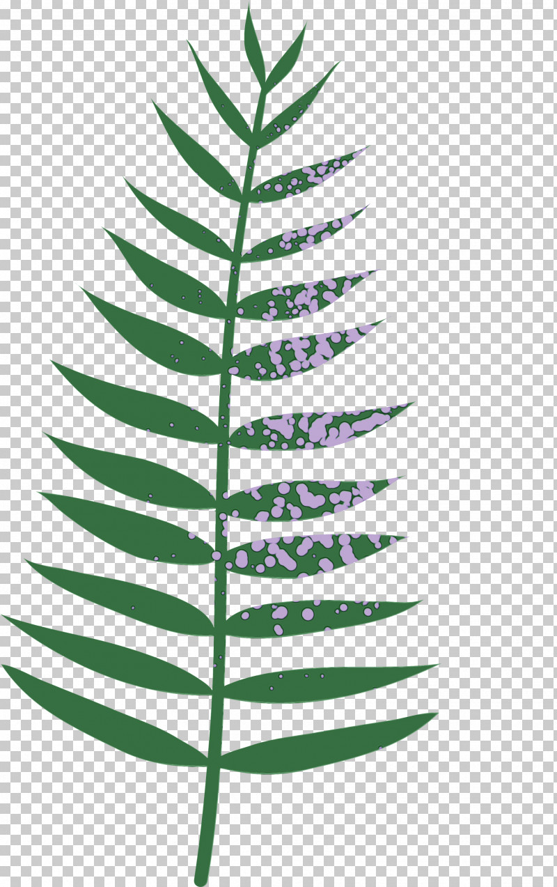 Plant Stem Branch Leaf Vascular Plant Plants PNG, Clipart, Biology, Branch, Leaf, Paint, Plants Free PNG Download