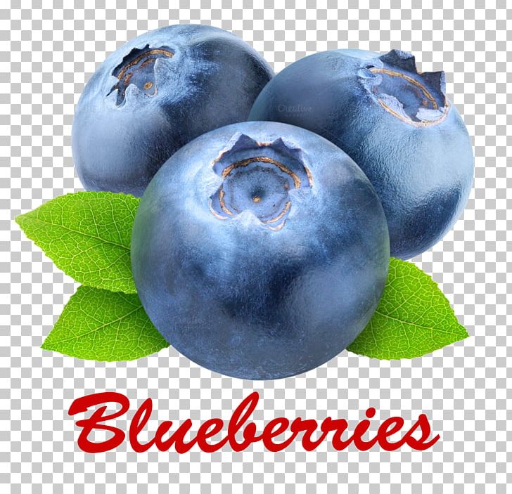 European Blueberry Bilberry Tiramisu Food PNG, Clipart, Berry, Bilberry, Blueberry, Blueberry Tea, Chokeberry Free PNG Download