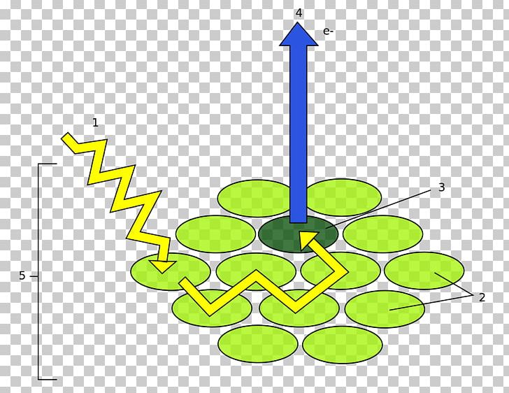 Light Photosystem Photosynthesis Chlorophyll Energy PNG, Clipart, 618, Area, Artwork, Chlorophyll, Chloroplast Free PNG Download