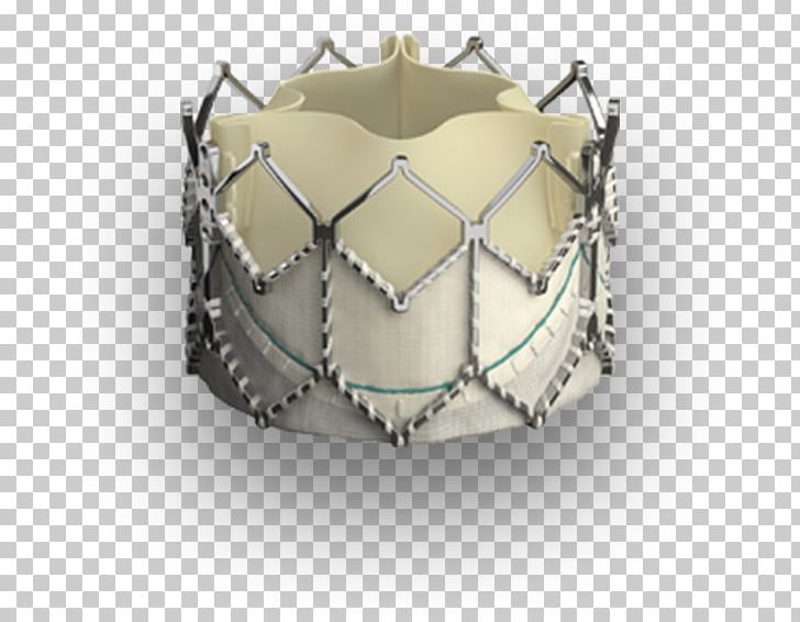 Percutaneous Aortic Valve Replacement Artificial Heart Valve PNG, Clipart, Aorta, Aortic Valve, Aortic Valve Replacement, Artificial Heart, Artificial Heart Valve Free PNG Download