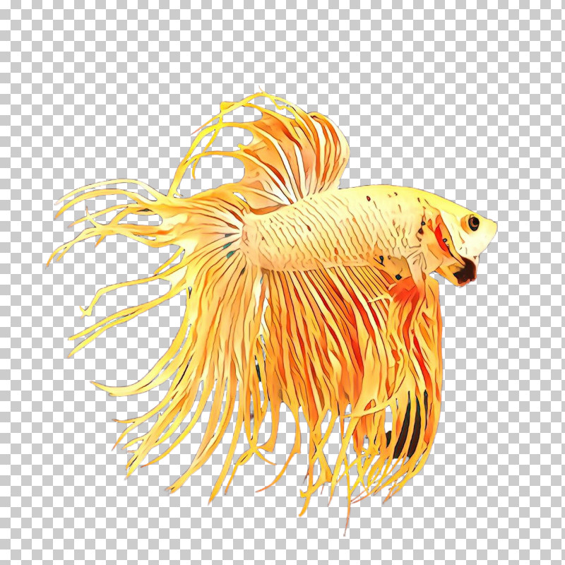 Fish Tail Fish PNG, Clipart, Fish, Tail Free PNG Download
