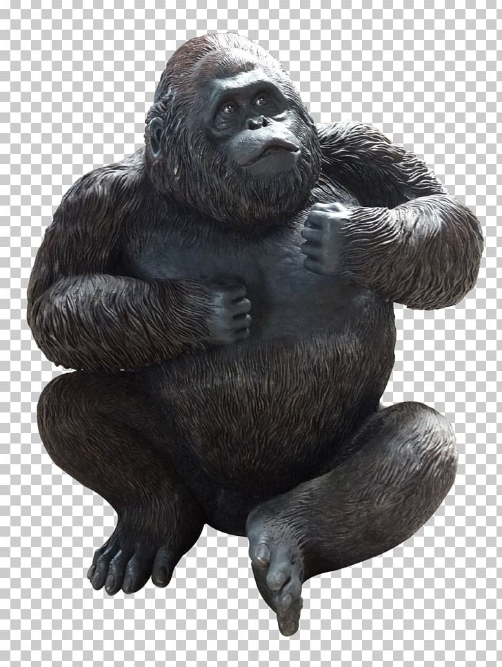 Common Chimpanzee Western Gorilla Terrestrial Animal PNG, Clipart, Animal, Bracket, Builder, Chimpanzee, Common Chimpanzee Free PNG Download