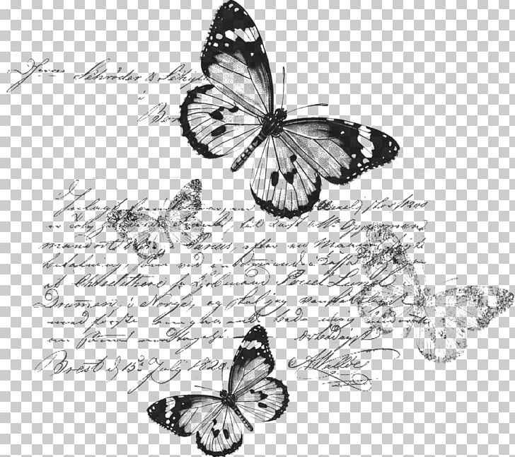 Drawing Watercolor Painting PNG, Clipart, Art, Arthropod, Artwork, Black And White, Brush Footed Butterfly Free PNG Download
