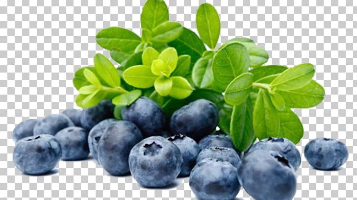 European Blueberry Bilberry Nutrient Fruit PNG, Clipart, Antioxidant, Auglis, Berry, Besinler, Bilberry Free PNG Download