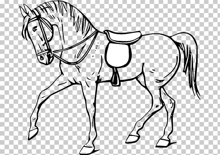 Tennessee Walking Horse Drawing Coloring Book PNG, Clipart, Animal Figure, Artwork, Bit, Black And White, Bridle Free PNG Download