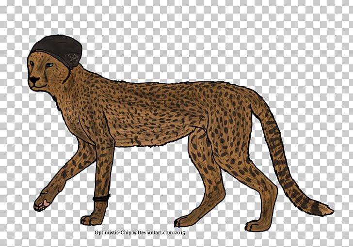 Cheetah Stock Photography PNG, Clipart, Animal, Animal Figure, Animals, Animal Track, Big Cat Free PNG Download