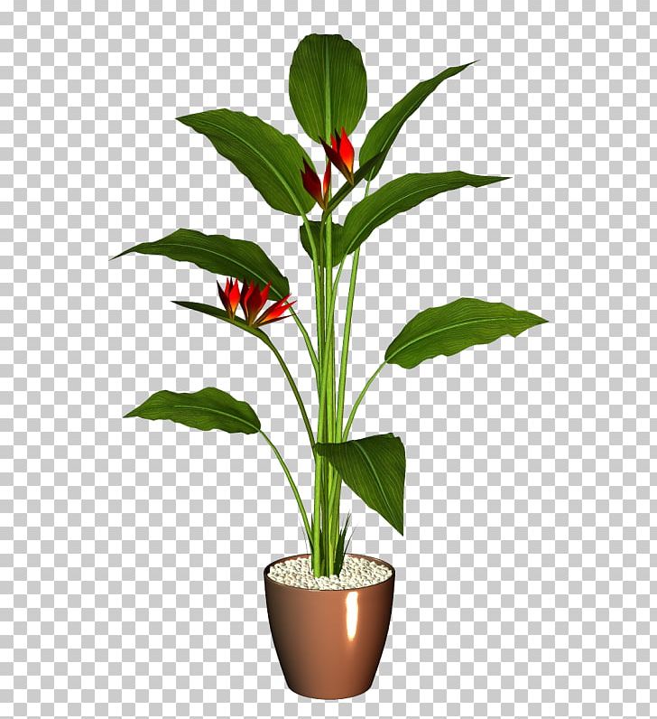 Flowerpot Houseplant PNG, Clipart, Bisou, Fille, Fleur, Flower, Flowering Plant Free PNG Download