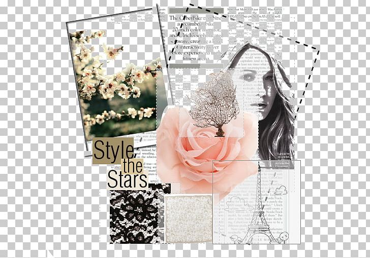 Paper Frames Petal Collage Pattern PNG, Clipart, Collage, Flower, Hair Accessory, Love, Paper Free PNG Download