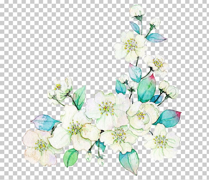 Watercolor Painting Flower Illustration PNG, Clipart, Blossom, Branch, Cape Jasmine, Cartoon, Colored Pencil Free PNG Download