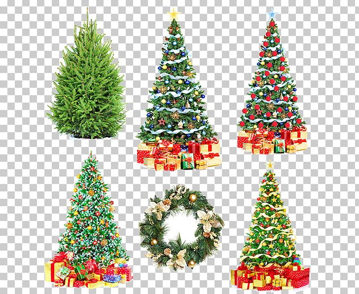 Poland Santa Claus Christmas Tree Christmas Wafer PNG, Clipart, Ball, Bombka, Box, Child, Christmas Free PNG Download