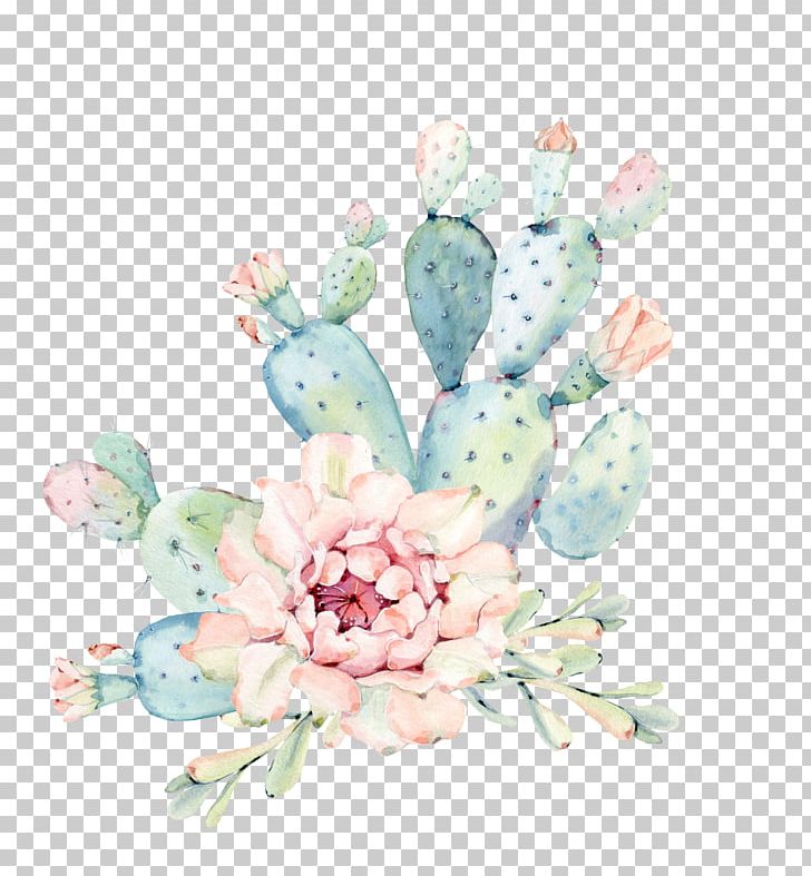 Cactaceae Watercolor Painting Succulent Plant Euclidean PNG, Clipart, Botany, Cactus, Cartoon, Color, Desert Free PNG Download