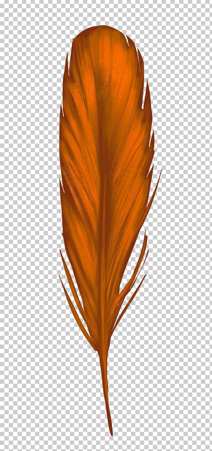 Leaf Petal PNG, Clipart, Leaf, Orange, Orange Feathers, Petal, Plant Free PNG Download