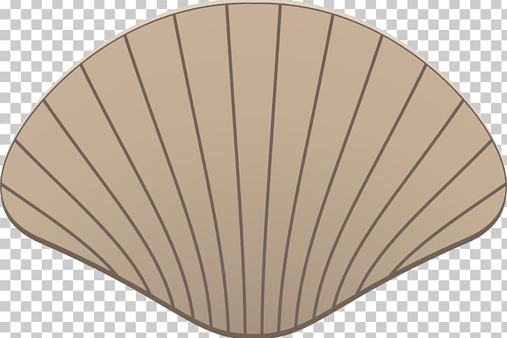 Seashell Drawing PNG, Clipart, Angle, Animals, Beige, Computer Icons, Conch Free PNG Download