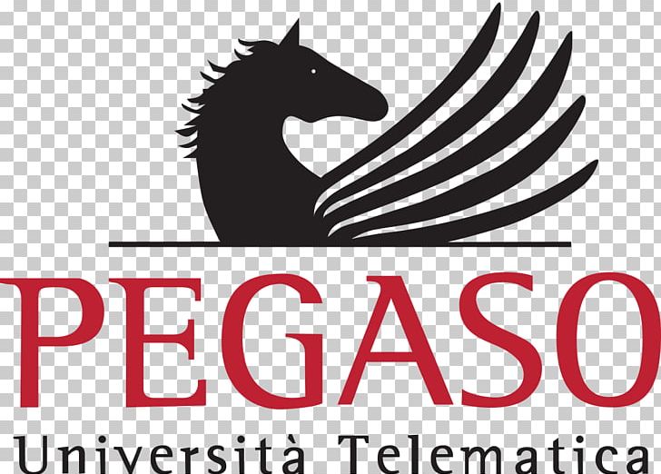 Università Degli Studi Pegaso University Of Turin Fernuniversität Higher Education PNG, Clipart,  Free PNG Download