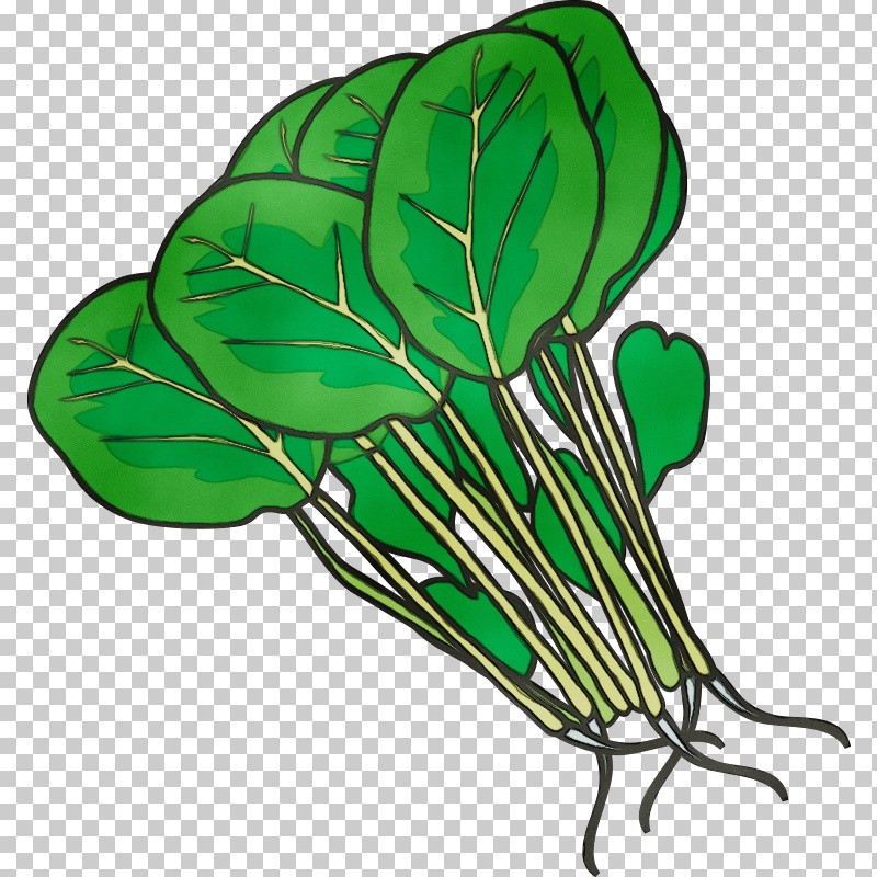 Leaf Leaf Vegetable Plant Stem M-tree Tree PNG, Clipart, Biology, Flower, Leaf, Leaf Vegetable, Mtree Free PNG Download