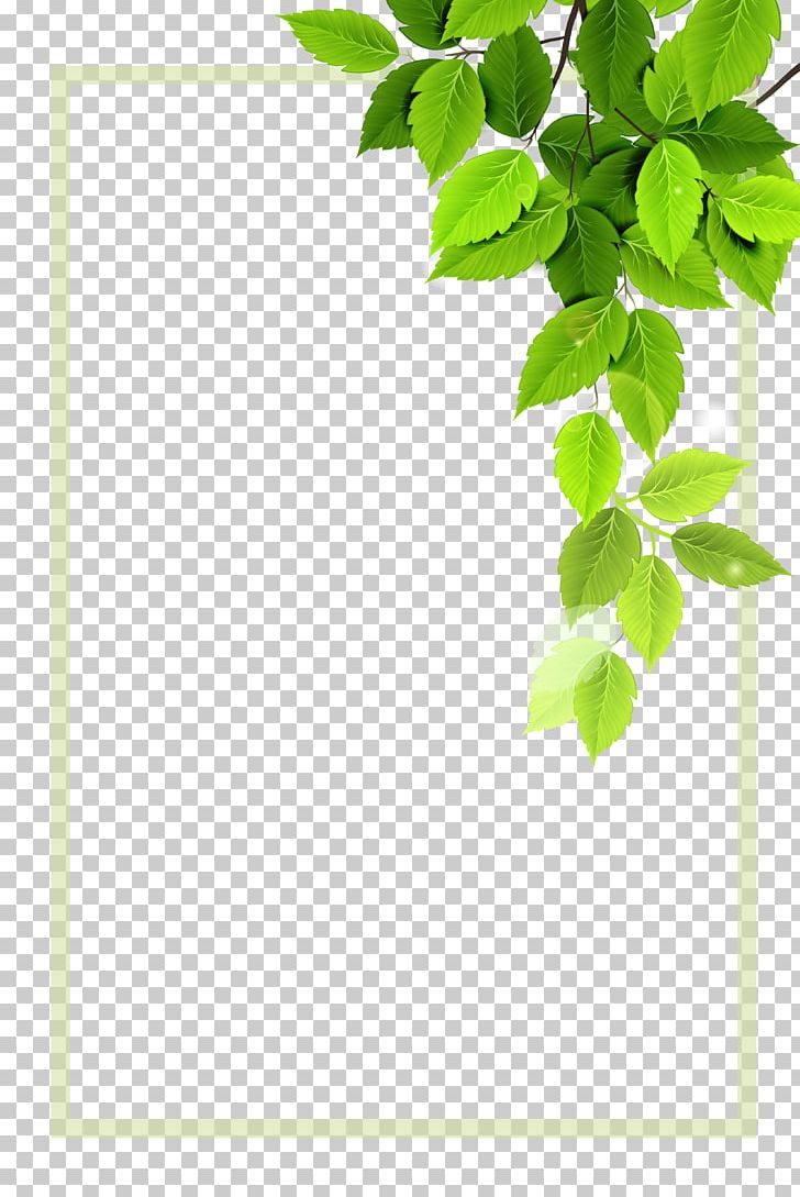 Green Plant Borders PNG, Clipart, Angle, Border, Border Frame, Borders Vector, Branch Free PNG Download