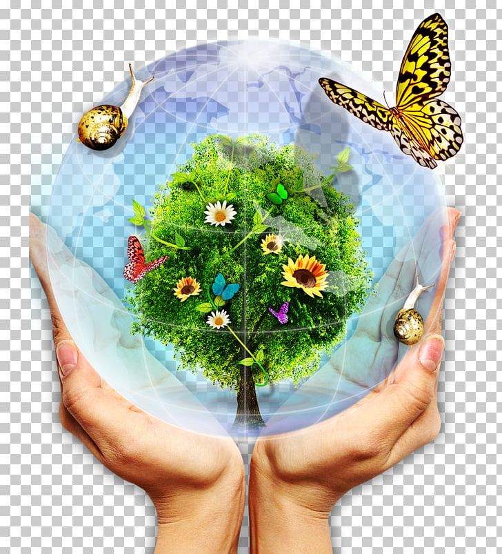 Icon PNG, Clipart, Big Hand, Butterfly, Creative, Download, Earth Free PNG Download