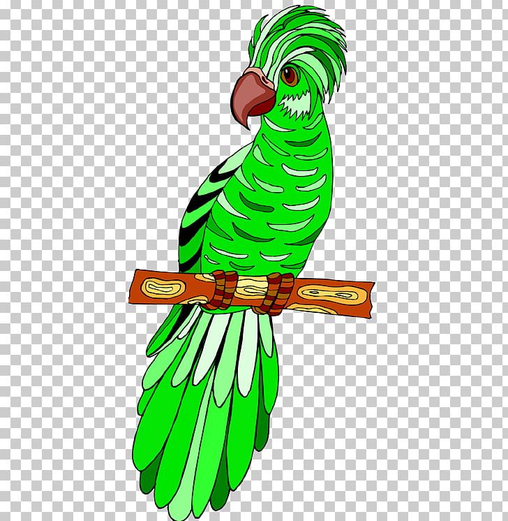 Macaw Beak Parakeet Feather PNG, Clipart, 6 E, Animal, Animal Figure, Animals, Art Free PNG Download