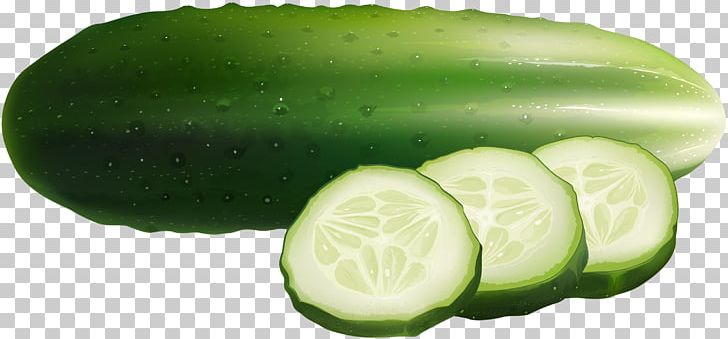 Cucumber Euclidean Food Illustration PNG, Clipart, Cool Backgrounds, Cool Vector, Cuc, Cucumber Gourd And Melon Family, Encapsulated Postscript Free PNG Download
