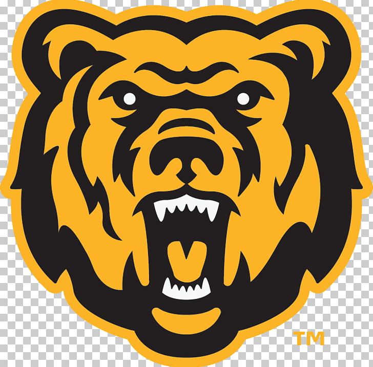 Logos And Uniforms Of The Chicago Bears Carolina Panthers Dolton American Football PNG, Clipart, 2017 Nfl Season, Bear, Bear Logo, Big Cats, Carnivoran Free PNG Download