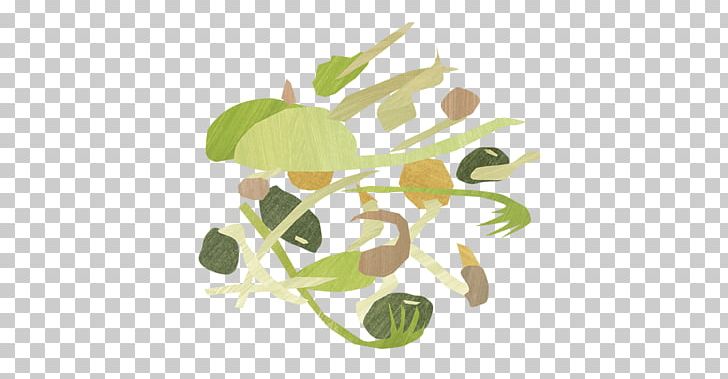 Product Design Graphics Leaf Plant Stem PNG, Clipart, Bean Sprout, Branch, Food, Fruit, Leaf Free PNG Download