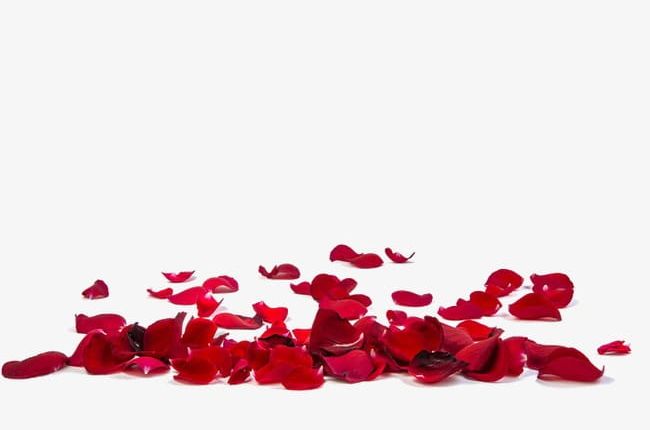 Red Rose Petals PNG, Clipart, Anniversary, Backgrounds, Close Up, Day, Decoration Free PNG Download
