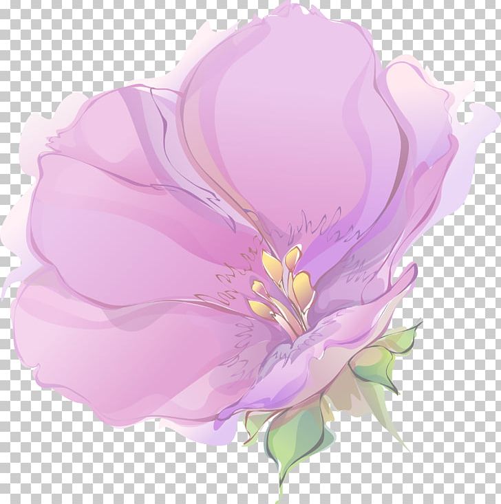 Flower Petal .net Paper Phuang Malai PNG, Clipart, Blossom, Centifolia Roses, Color, Com, Flower Free PNG Download