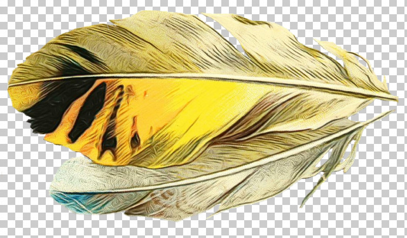 Feather PNG, Clipart, Feather, Paint, Watercolor, Wet Ink, Yellow Free PNG Download
