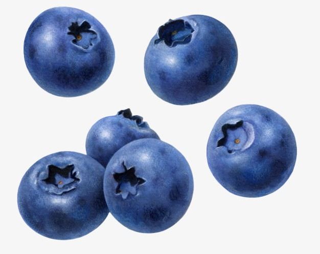 Blueberry PNG, Clipart, Blue, Blueberry, Blueberry Clipart, Fruit, Raspberry Free PNG Download