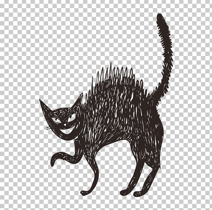 Cat Food Black Cat PNG, Clipart, Animal, Animal Illustration, Animals, Black, Carnivoran Free PNG Download
