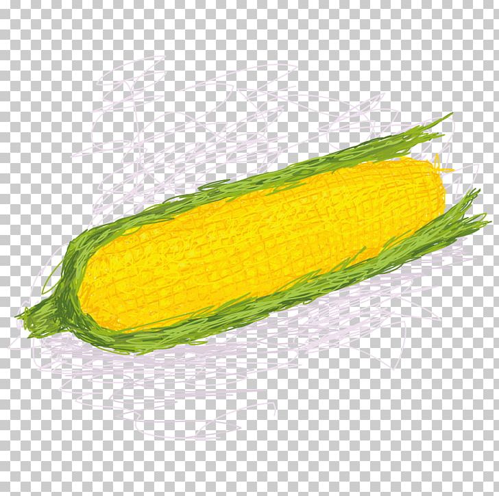 Corn On The Cob Maize Sweet Corn PNG, Clipart, Baogu, Cartoon, Cartoon Corn, Commodity, Corn Free PNG Download