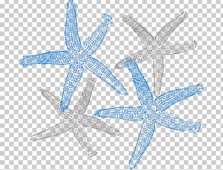 Drawing Computer Icons PNG, Clipart, Animals, Computer Icons, Desktop Wallpaper, Drawing, Echinoderm Free PNG Download