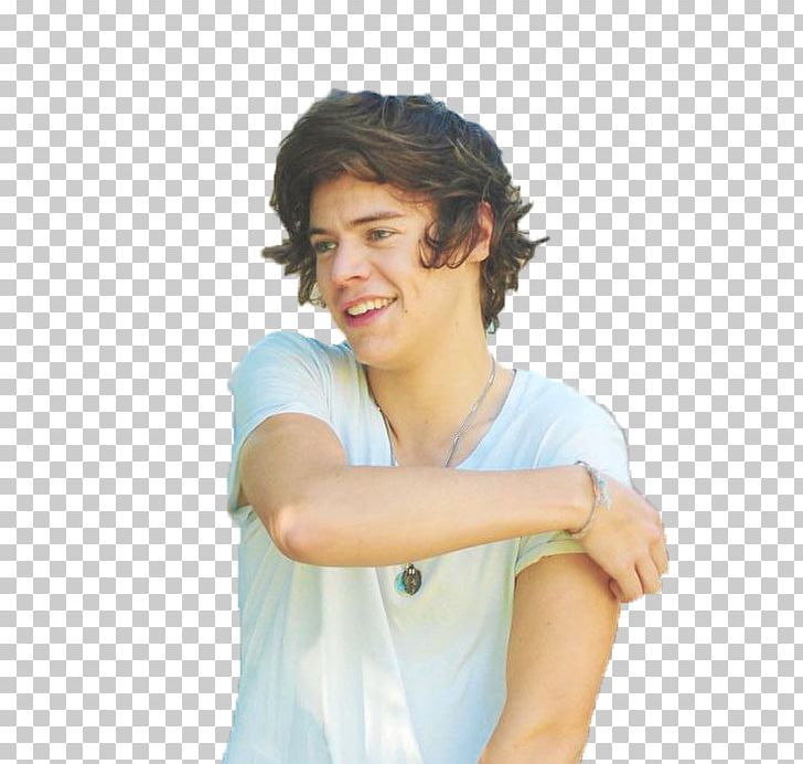 Harry Styles Holmes Chapel Comprehensive School One Direction PNG, Clipart, Arm, Black Hair, Brown Hair, Celebrities, Cheek Free PNG Download