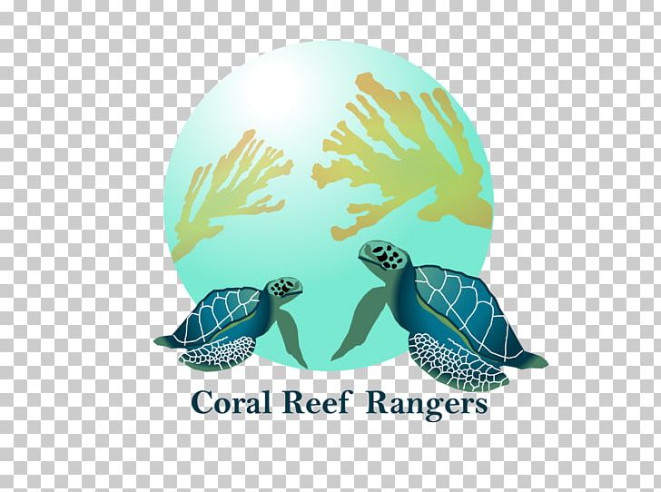 Sea Turtle Marine Biology Turquoise PNG, Clipart, Aqua, Beak, Biology, Coral Reef, Fauna Free PNG Download