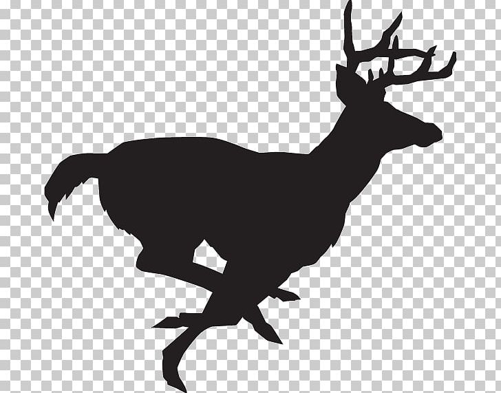White-tailed Deer Decal Deer Hunting PNG, Clipart, Animals, Antelope, Antler, Black And White, Craft Free PNG Download