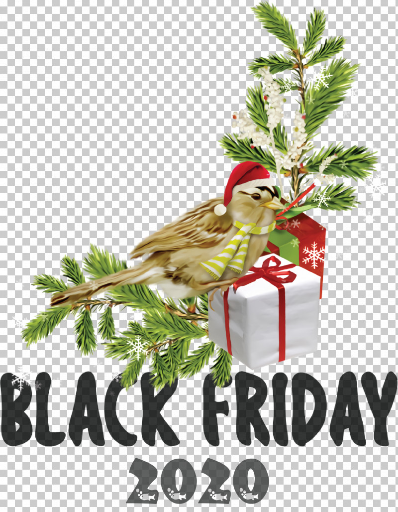 Black Friday Shopping PNG, Clipart, Bauble, Black Friday, Christmas Day, Christmas Decoration, Christmas Ornament Free PNG Download