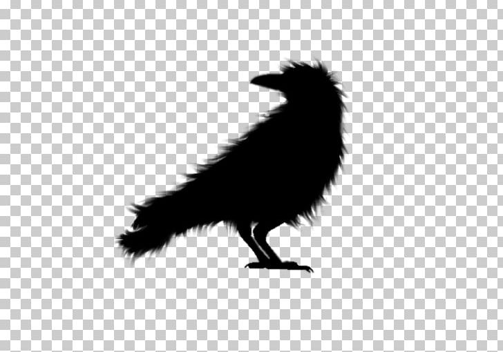 Crow Art With Animals! Drawing Painting PNG, Clipart, Animal, Animals, Art, Art Exhibition, Art With Animals Free PNG Download