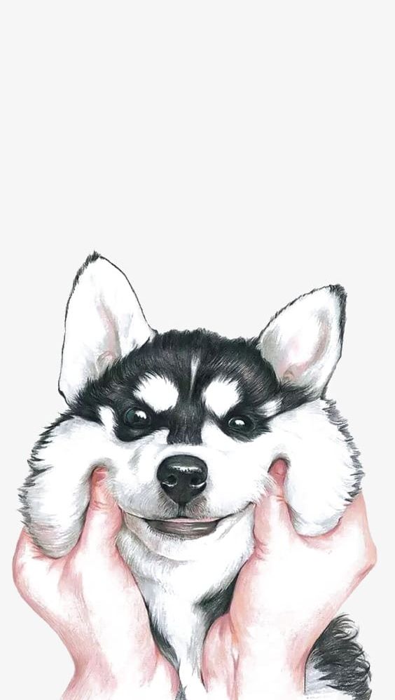 Huskies PNG, Clipart, Animal, Art, Cartoon, Dog, Fresh Free PNG Download