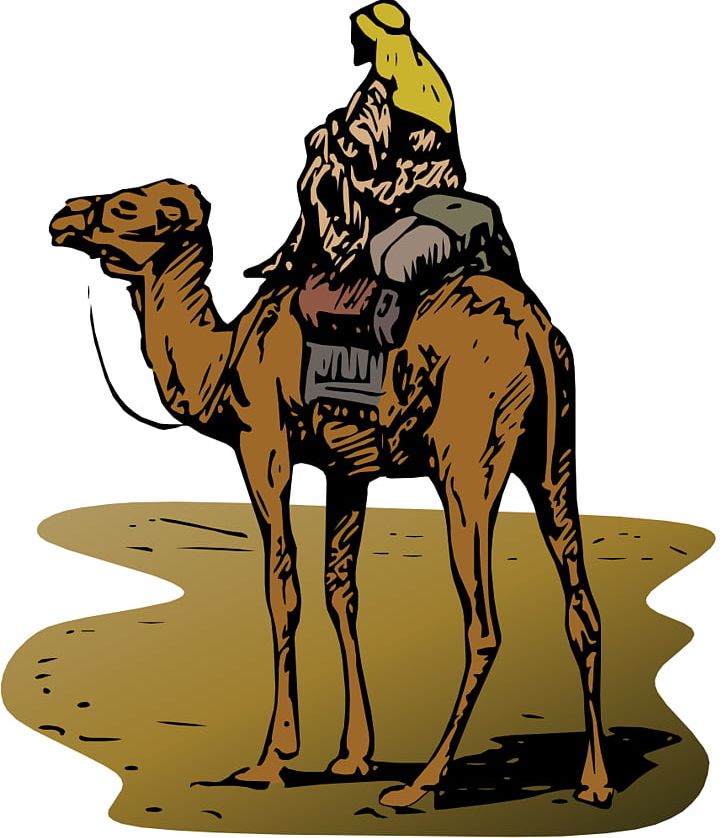 Silk Road Central Asia Bitcoin TeachersPayTeachers PNG, Clipart, Animals, Arabian Camel, Bitcoin, Camel, Camel Like Mammal Free PNG Download