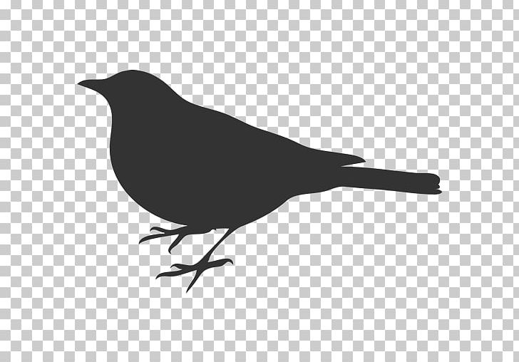 Bird Silhouette PNG, Clipart, American Crow, Animals, Art, Beak, Bird Free PNG Download